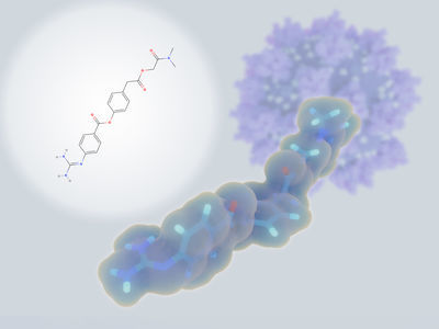 Small Molecule Drugs