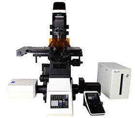 Fluorescence & Confocal Microscopy Platform