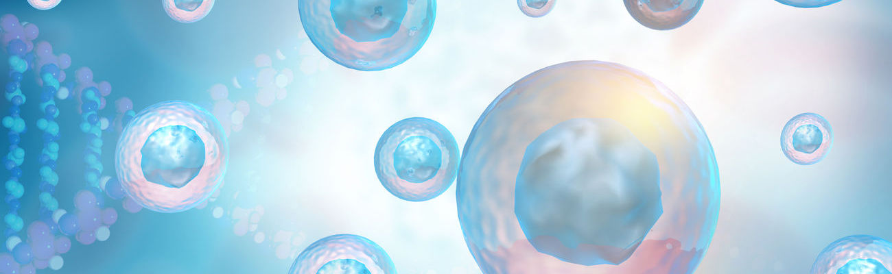 Cell & Tissue Level Biological Analysis & Imaging