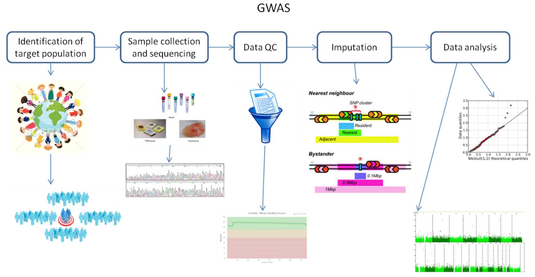 1-1-genome-wide-association-study-GWAS-1