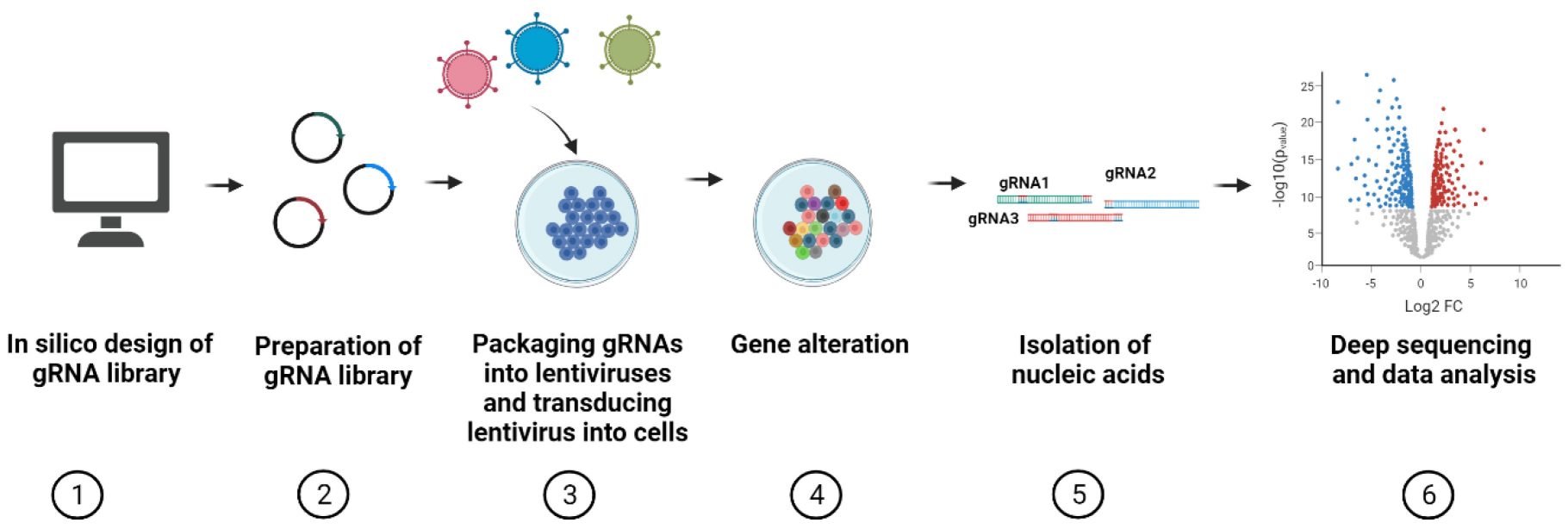 1-2-CRISPR-Cas9-Screening-1