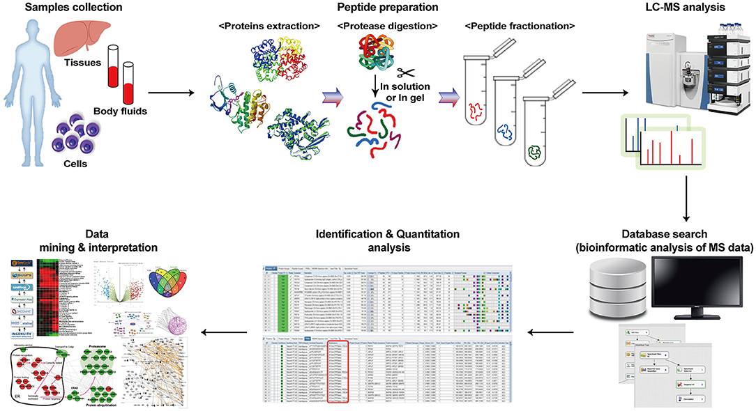 1-4-mass-spectrometry-(MS)-based-proteomics-4