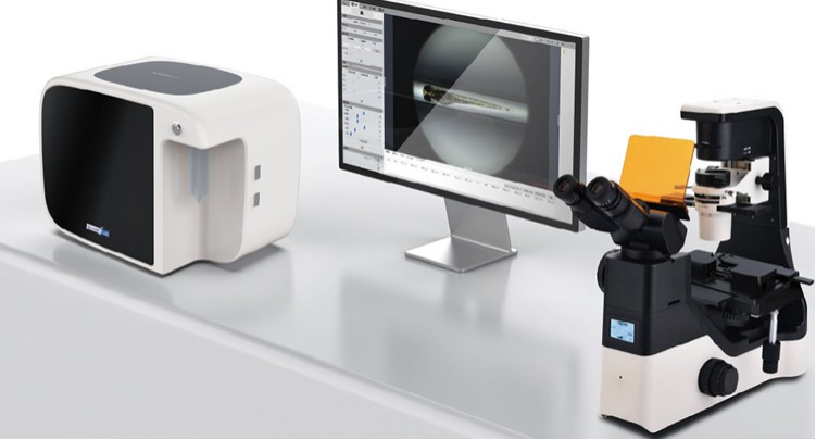 2-9-zebrafish-screening-3