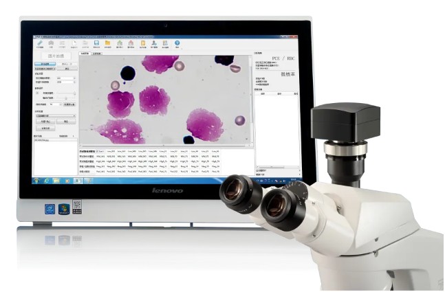 3-3-3-in-vitro-micronucleus-test-1