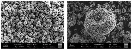 4-1-10-scanning-electron-microscopy-(sem)-1