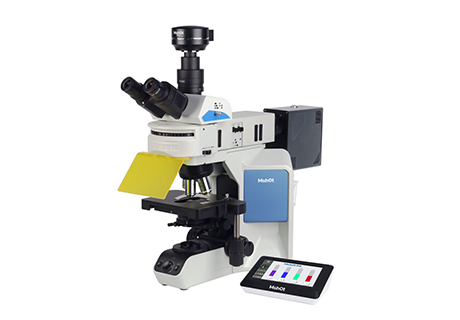 4-4-4-mycoplasma-detection-3