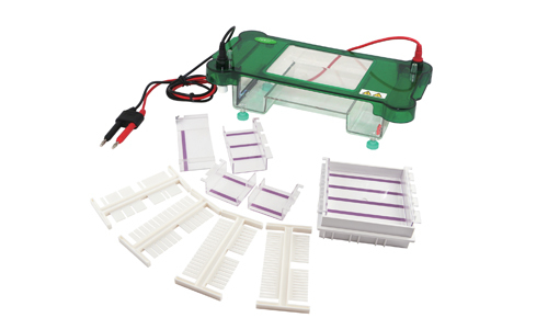 5-9-electrophoretic-analysis-platform-1