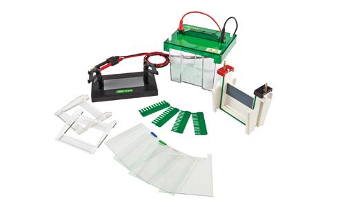 5-9-electrophoretic-analysis-platform-2